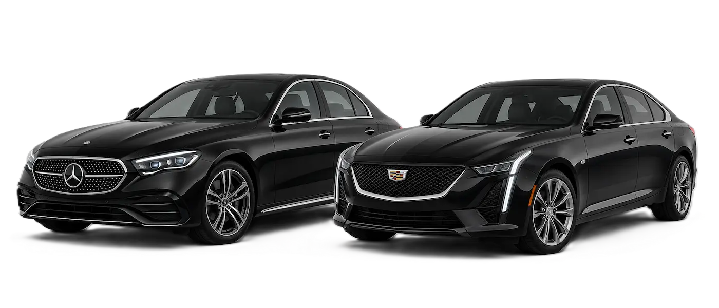 Executive black sedans